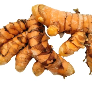 Orange Turmeric Rhizomes - Fresh Organic Curcuma longa Root for Planting & Culinary Use - Image 1