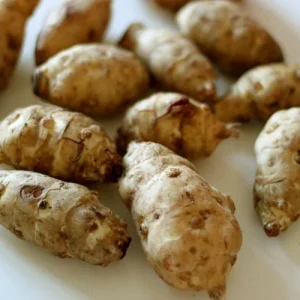 Organic Jerusalem Artichoke Seed Tubers - Sunchoke - Small Size - Image 2