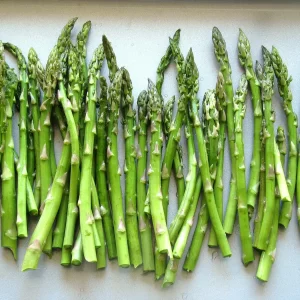 Organic Mary Washington Asparagus Seeds - 100+ Count - Vegetable Garden - Image 3