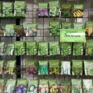 Organic Mixed Vegetable & Flower Seeds - 50 Seed Packs - Diverse Garden Collection - Image 1