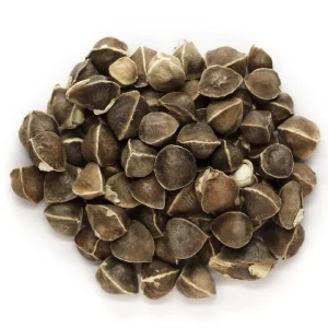 Organic Moringa Oleifera Drumstick Seeds Non-GMO - Easy to Grow - Image 1