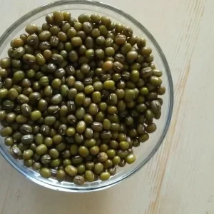 Organic Mung Bean Seeds - Non-GMO Sprouting & Garden Vegetable Seeds - Image 2