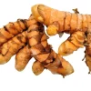 Organic Orange Turmeric Rhizomes - Curcuma Longa Roots for Planting & Culinary Use - Image 1