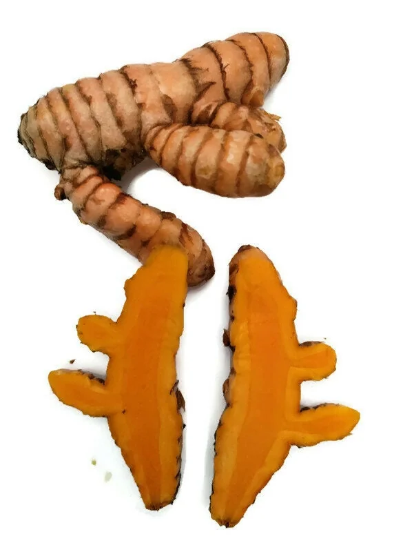 Organic Orange Turmeric Rhizomes - Curcuma Longa Roots for Planting & Culinary Use - Image 2