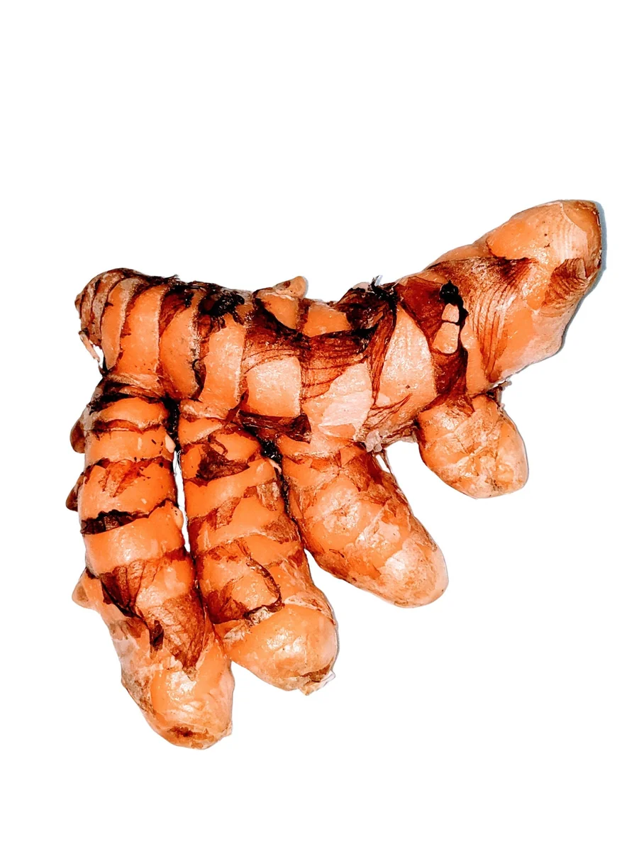 Organic Orange Turmeric Rhizomes - Curcuma Longa Roots for Planting & Culinary Use - Image 3