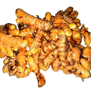 Organic Orange Turmeric Rhizomes - Curcuma Longa Roots for Planting & Culinary Use - Image 4