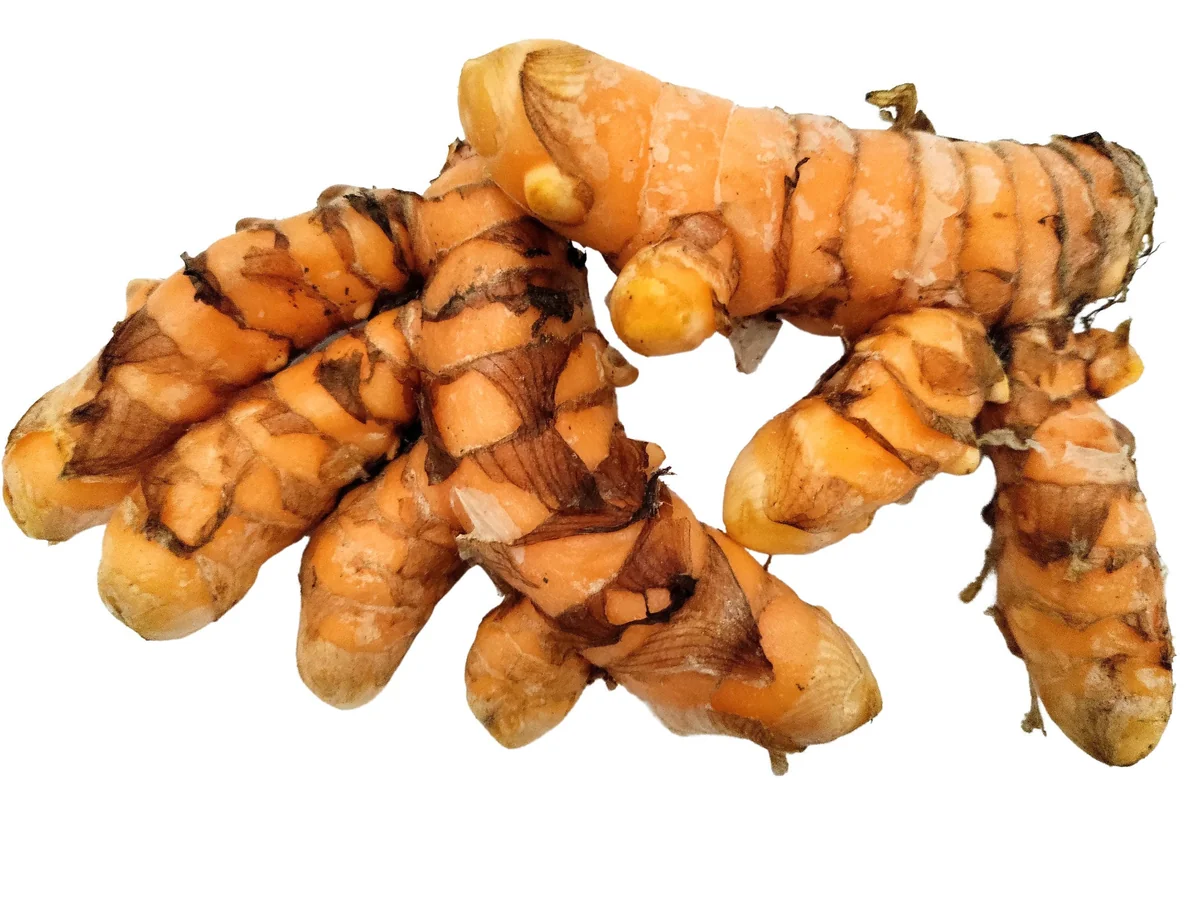 Organic Orange Turmeric Rhizomes - Curcuma Longa Roots for Planting & Culinary Use - Image 1