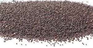 Organic Peppermint Seeds - Herb Gardening - Heirloom, Non-GMO, Open Pollinated - Image 4