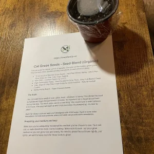 Organic Pet Grass Seeds - Wheatgrass, Barley, Oat & Rye Blend for Cats, Dogs, Rabbits - Image 4