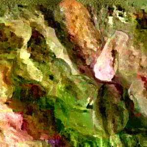 Organic Potato Seed Tubers Mix - Purple, Red, Yukon, Russet - 2 Pounds for Planting - Image 3