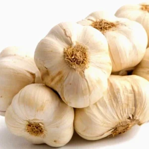 Organic Transylvanian Vampire Softneck Garlic Bulbs for Planting - 2 XL Bulbs - Image 5