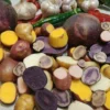 Organic True Potato Seeds 50 Count - Purple, Red, Yellow Color Mix for Planting - Image 1