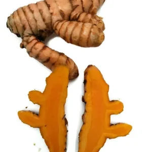 Organic Turmeric Rhizomes - Curcuma longa Roots for Planting & Culinary Use, 1-50 lbs - Image 4