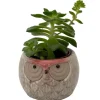 Owl Forest Ceramic Planter with Succulent Live Plant - 3 inch Pot - Image 1