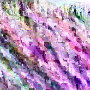 Pampas Grass Live Plant Starters - Set of 3, 4-8 Inch Tall, Ornamental Green Outdoor Perennial - Image 1