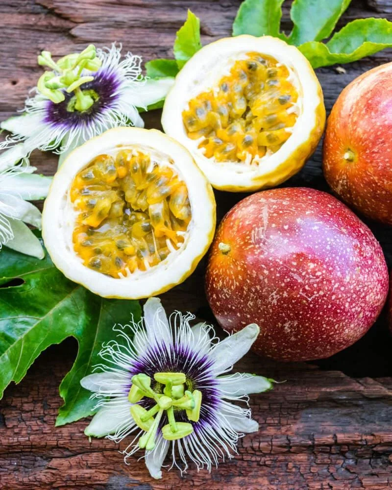 Panama Red Passion Fruit Starter Plant - Live Tropical Vine, Edible Fruit - Image 5