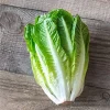 Parris Island Cos Romaine Lettuce Seeds - 1 lb Pack, Approx. 400,000 Seeds - Image 1
