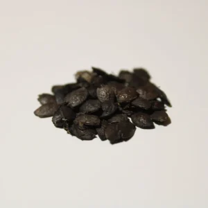 Passion Fruit (Passiflora edulis) Seeds - 10 Seed Pack for Tropical Vines - Image 2