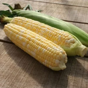 Peaches & Cream Sweet Corn Seeds - Non-GMO Hybrid Vegetable Seeds - Image 1