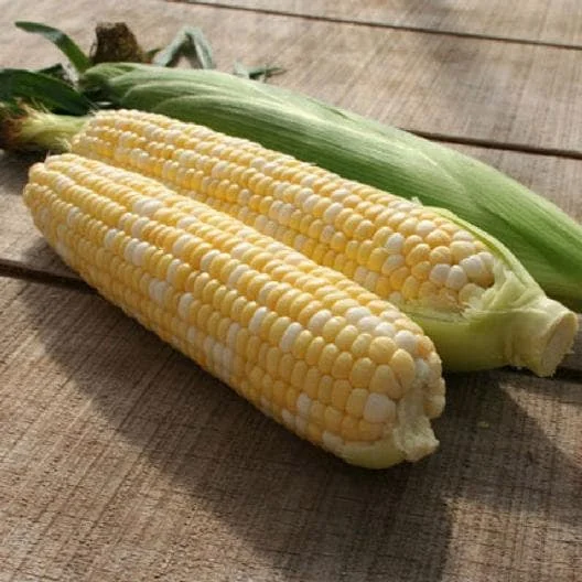 Peaches & Cream Sweet Corn Seeds - Non-GMO Hybrid Vegetable Seeds - Image 1