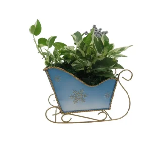 Pearls and Jade Pothos Live Plant – Blue Metal Sleigh Planter – 4