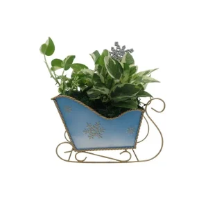 Pearls and Jade Pothos Live Plant – Blue Metal Sleigh Planter – 4" Pot – Indoor - Image 1