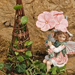 Peter Pan English Ivy Live Plant – 2.5