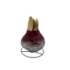 Picasso Burgundy Amaryllis Bulb - Waxed Jumbo 36/+ cm - Holiday Blooms - Image 1