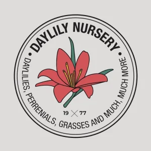 Picasso Waxed Amaryllis Bulb - White with Pink & Red Splatter - Size 32/34 - Image 3