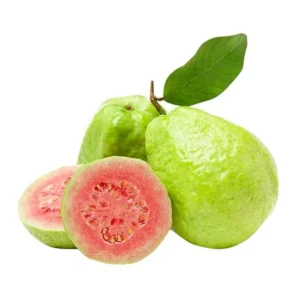 Pink Guava Live Tree - 3 Gallon Pot - Tropical Edible Fruit Plant - Image 2