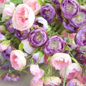Pink Ranunculus Flower Bulbs - 15 Corms, Peony Rose Buttercup Type, Perennial - Image 13