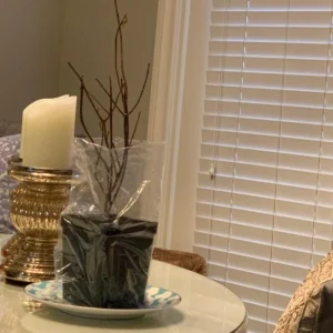 Pinky Winky Hydrangea Live Plant – Two-Tone Blooms – Quart Pot – Outdoor Shrub - Image 6