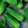 Pioneer F1 Cucumber Seeds - Non-GMO Heirloom Vegetable Seeds for Garden - Image 1