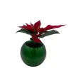 Poinsettia Live Plant in Green Globe Planter - 2 inch Pot - Festive Decor - Image 1