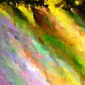 Potentilla Aurea Perennial Seeds - 500 Count Yellow Flowering Groundcover - Image 3