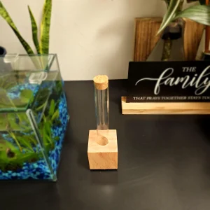 Propagation Station – Hydroponic Gardening Vase – Glass Tube & Wood Stand – Plant Cuttings Decor - Image 5