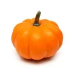 Pumpkin Seeds for Planting - 10 Seeds, Productive Variety, Orange Pulp - Image 1