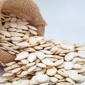 Pumpkin Seeds for Planting - 10 Seeds, Productive Variety, Orange Pulp - Image 2