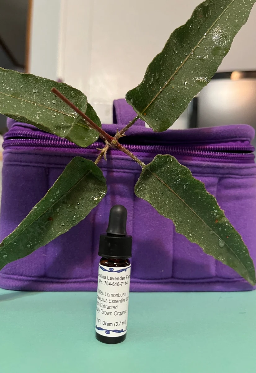 Pure Eucalyptus Essential Oil - Organic, Steam Distilled, 3.7ml & 14.7ml - Image 2