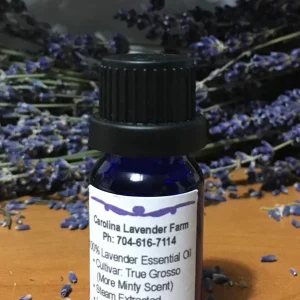 Pure Lavender Essential Oil - Organic & Concentrated for Aromatherapy - Image 2