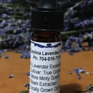 Pure Lavender Essential Oil - Organic & Concentrated for Aromatherapy - Image 4