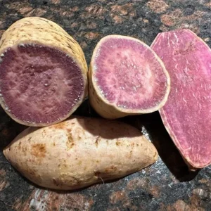 Purple Okinawa Sweet Potato Live Plant Slips – Set of 5 Rooted – Easy Grow Edible Vine - Image 1