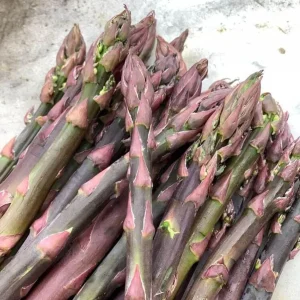 Purple Passion Asparagus Crowns - 75 Bare Root Plants - 2 Year - Zones 3-8 - Image 1