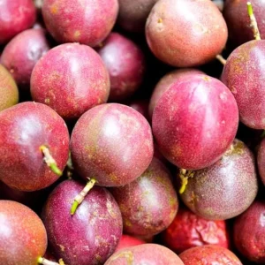 Purple Passion Fruit Live Plant – Edible Vine Starter – 4-6