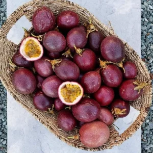 Purple Passion Fruit Live Plant – Edible Vine Starter – 4-6