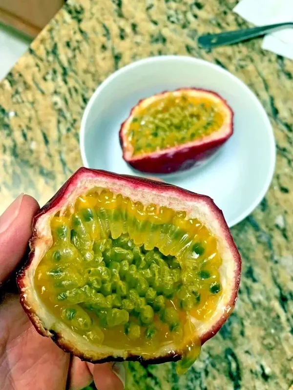 Purple Passion Fruit Seeds - Granadilla Passiflora Edulis Vine - 10 Seeds - Image 5