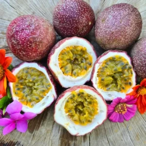 Purple Passionfruit Live Plant - 4-6