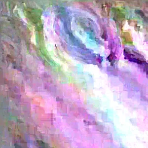 Purple Ranunculus Flower Bulbs - 25 Corms, 7+cm - Perennial, Indoor/Outdoor - Image 5