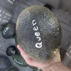 Queen Avocado Tree - Grafted Live Plant - 1 Foot Tall - Fruit Tree - Image 1