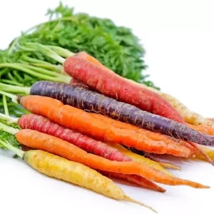 Rainbow Carrot Seeds - 25-35 Count Heirloom Non-GMO Vegetable Seeds for Garden - Image 2